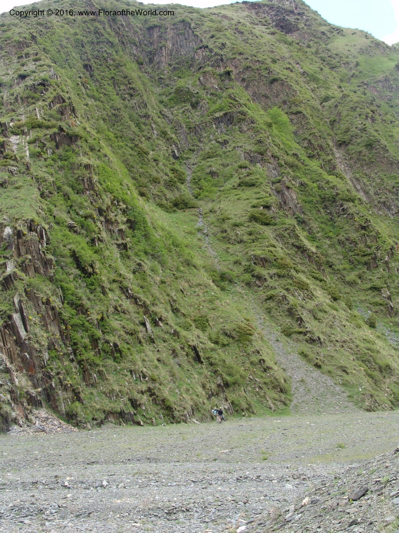 Georgia. Kazbegi region. Kora Gorge. 3 Jun 05. 142.jpg