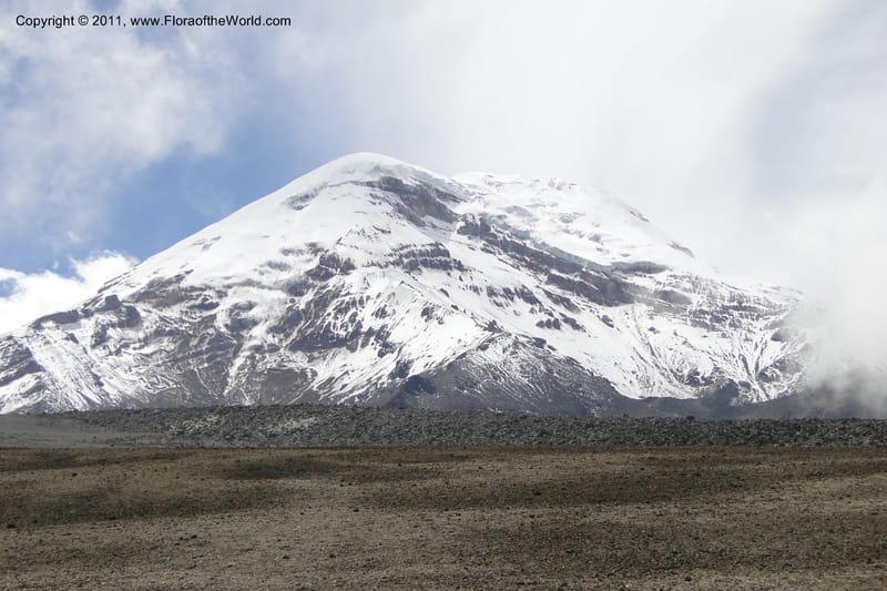 Ecuador. Chimborazo. El Primer Refugio. 5 Jun 2011. 011.jpg