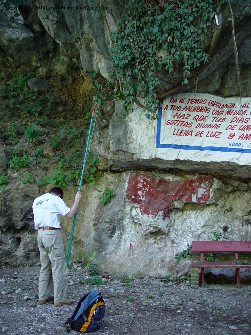 MX. Chiapas. Mpo. Rinc. Chamula. MX195.  La Selva Negra. 17 Mch 03.  (8).jpg