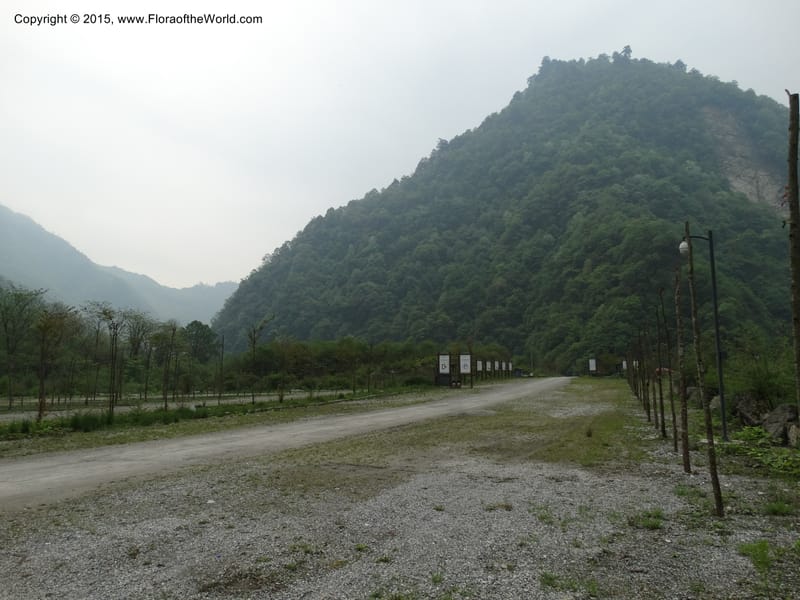 China. Sichuan. LuJing Valley. XiHe Stream. 13 May 2014. DSC06236 (46).JPG