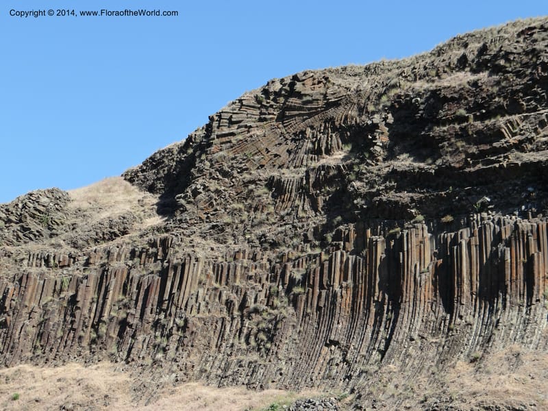 Snake River. Clarkston to China Garden Cr. 6 May 2013. DSC03333 (4).JPG