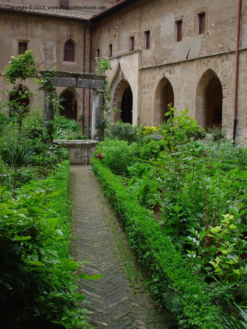 Courtyard garden, the lower monastery at Subiaco--Italy. (5).jpg