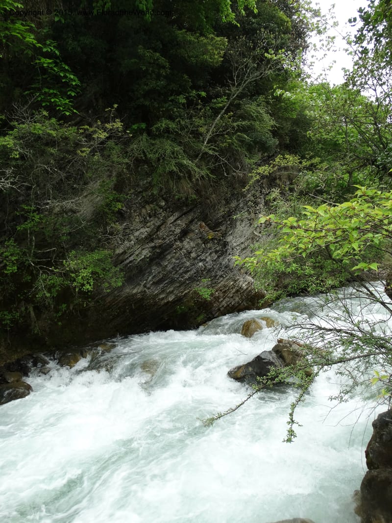 China. Sichuan. S of SanJiaZhai. 14 May 2014. DSC06685 (42).JPG