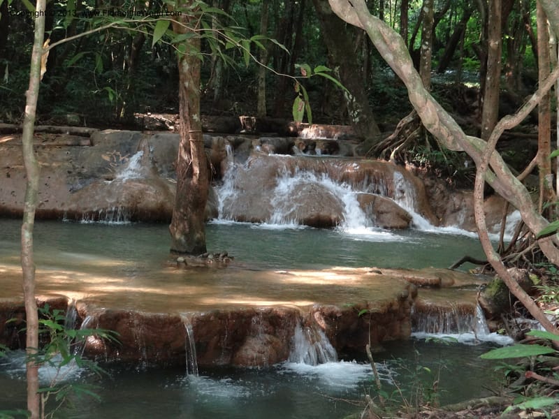 Thailand. Trang Prov. Khao Pra Bang Kram Wildl. Sanctuary. 16 Nov 2012. DSC0 (41).JPG