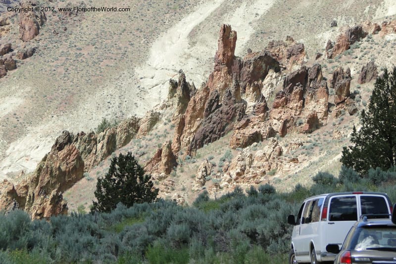 Oregon. Malheur Co. Leslie Gulch. 30 June 2011. 215.jpg
