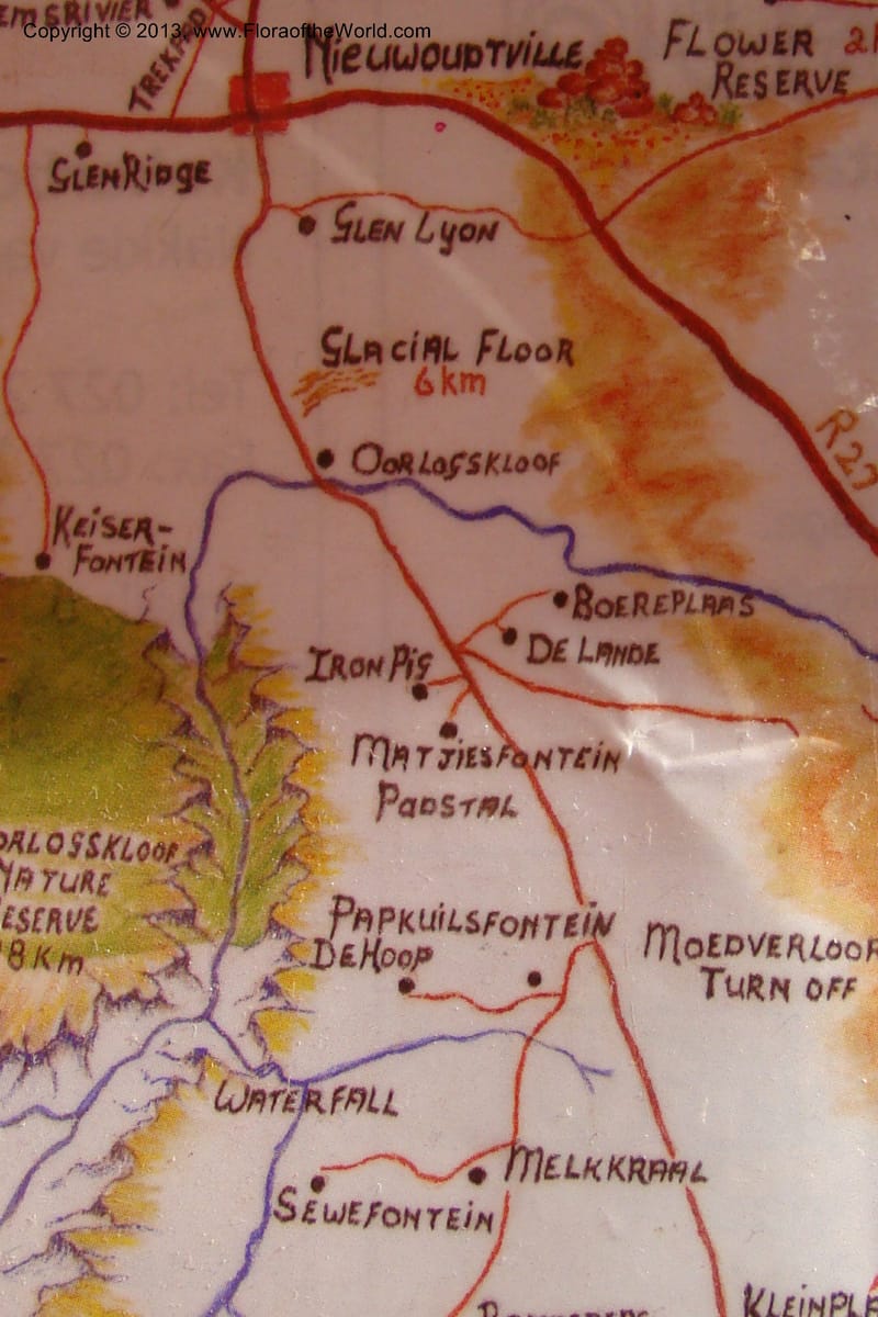 South Africa. Northern Cape. Papkuilsfontein. 25 Aug 09. 029.jpg