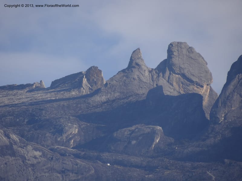 Mt. Kinabalu from Kg. Kundassong. 5 April 2012. DSC06757 (8).JPG