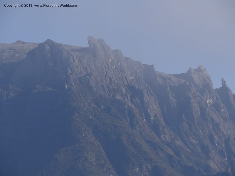 Mt. Kinabalu from Kg. Kundassong. 5 April 2012. DSC06757 (5).JPG
