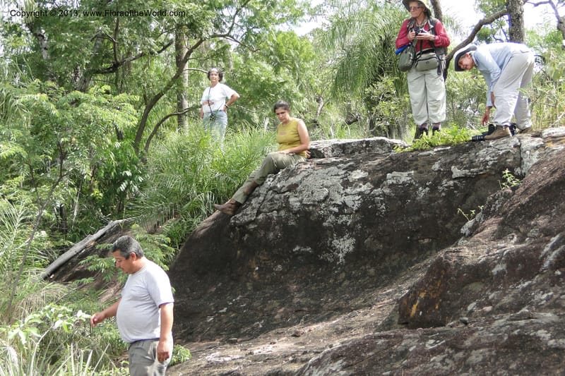 Paraguay. Edo. Concepcion. Garay Cue. 19 Mar 2011. 543.jpg
