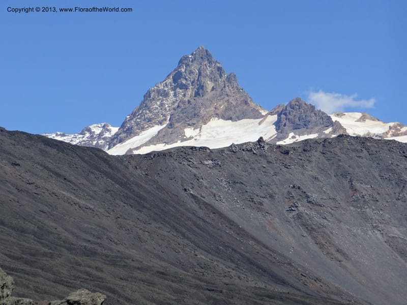 Chile. P.N. Laguna del Laja. Ski lodge. 18 Feb 2013. DSC01783 (65).JPG