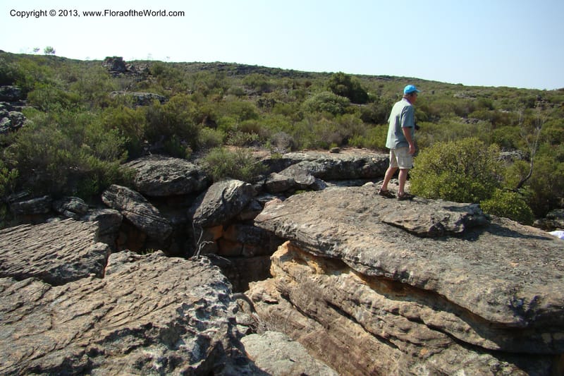 South Africa. Northern Cape. Papkuilsfontein. 25 Aug 09. 438.jpg