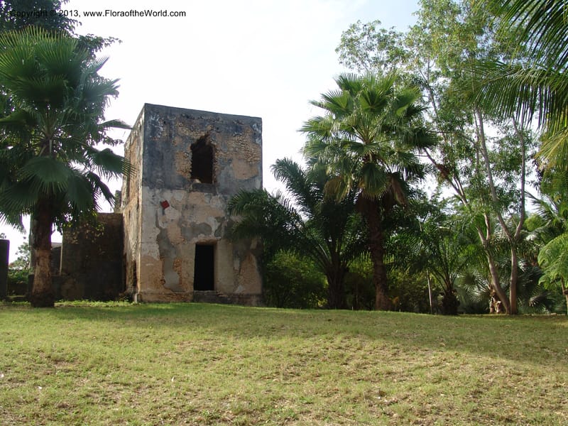 Tanzania. Zanzibar. Protea Hotel+Mbweni Ruins. 17 Jul 04. 036.jpg