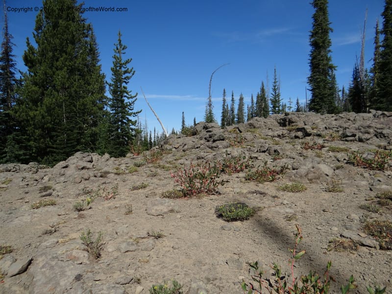 ID. Idaho Co. Lava Ridge Trail. 21 Aug 2013. DSC07258 (20).JPG