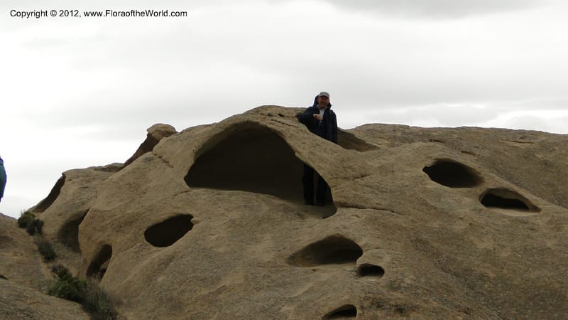 Idaho. 22 April 2010 117.jpg