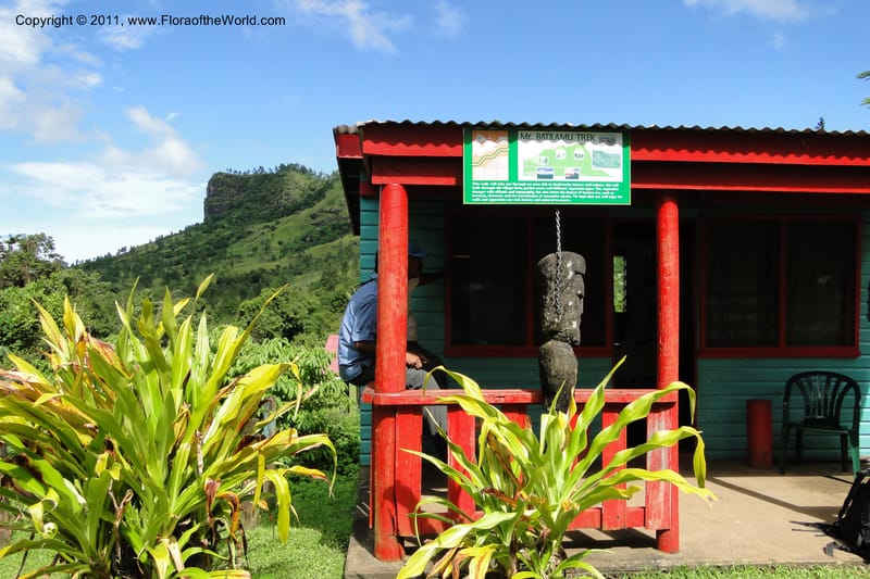 Fiji. Abaca Village. 11 Feb 2011. 002.jpg