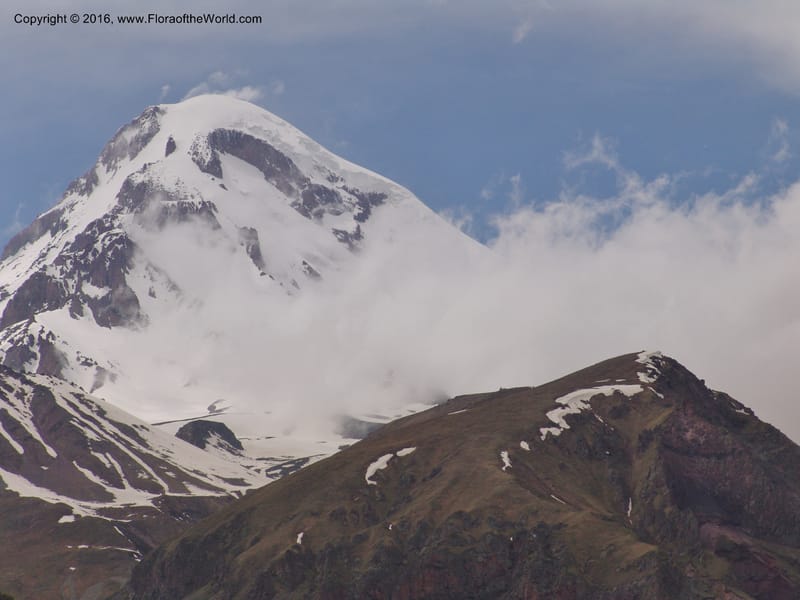 Georgia. Kazbegi Peak. Trail-road to Sameba Church. 2 Jun 05. 467 (12).jpg