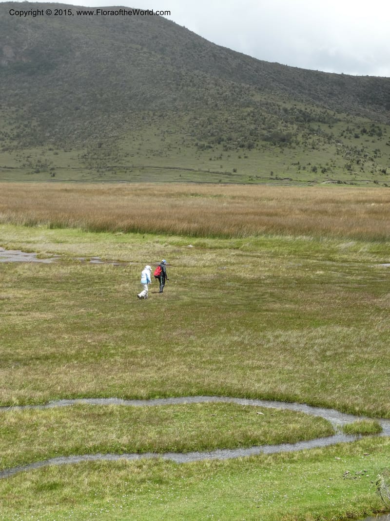Ecuador. Cotopaxi. 23 Apr 2015. DSC02466 (89).JPG