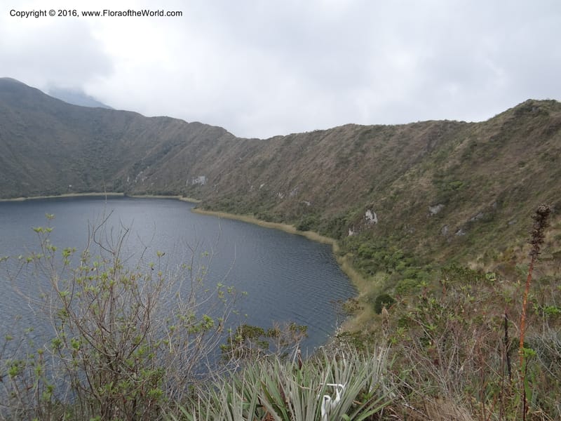 Views of Cotacachi Cayapas and Laguna Cuicocha. 4 Oct 2012. DSC06697 (6).JPG