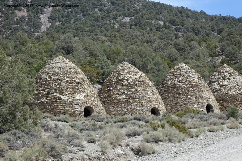 California. Inyo Co. Mahogany Flat Rd. Stop 1. 19 Apr 2016. DSC01513 (137).JPG