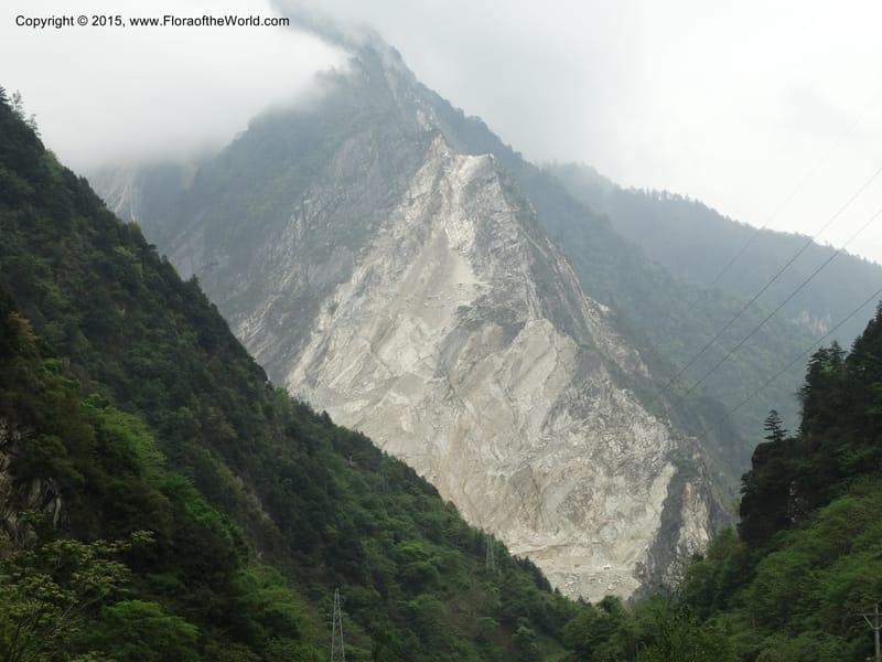 China. Sichuan. GuoBaiAn to YangLiuPing. 14 May 2014. DSC06781 (140).JPG