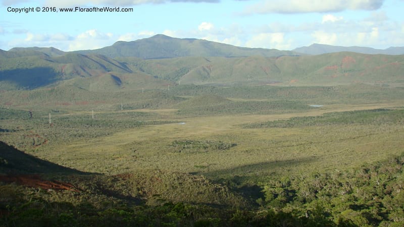 New Caledonia. 810.jpg