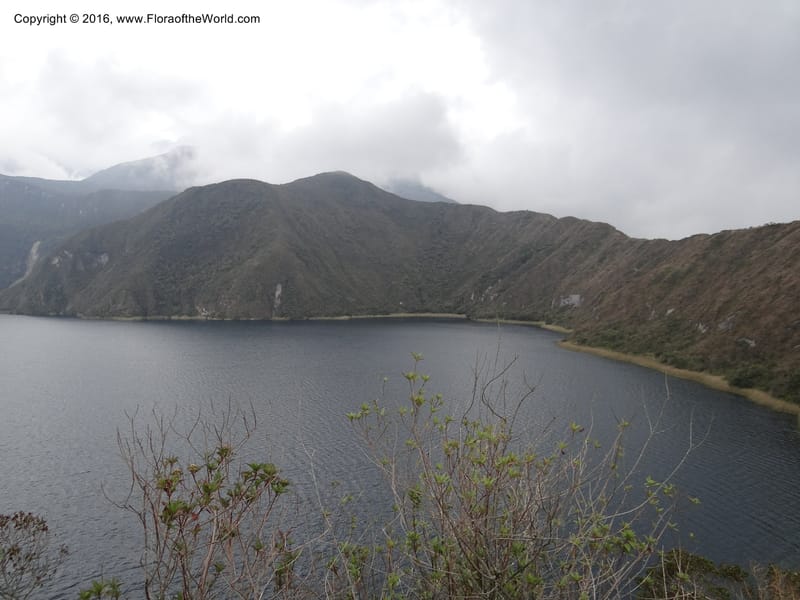 Views of Cotacachi Cayapas and Laguna Cuicocha. 4 Oct 2012. DSC06697 (7).JPG