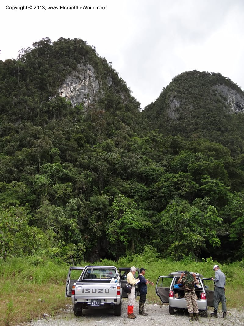 Malaysia, Sarawak. Gunong Tai Ton. 27 Mar 2012 (2).JPG