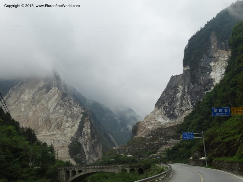 China. Sichuan. GuoBaiAn to YangLiuPing. 14 May 2014. DSC06781 (149).JPG