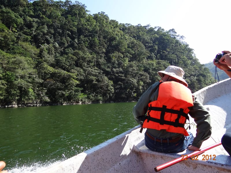 Habitat--Mexico, Chiapas, El Ocote, rio de la Venta 22 Feb 2012  3825 (5).JPG