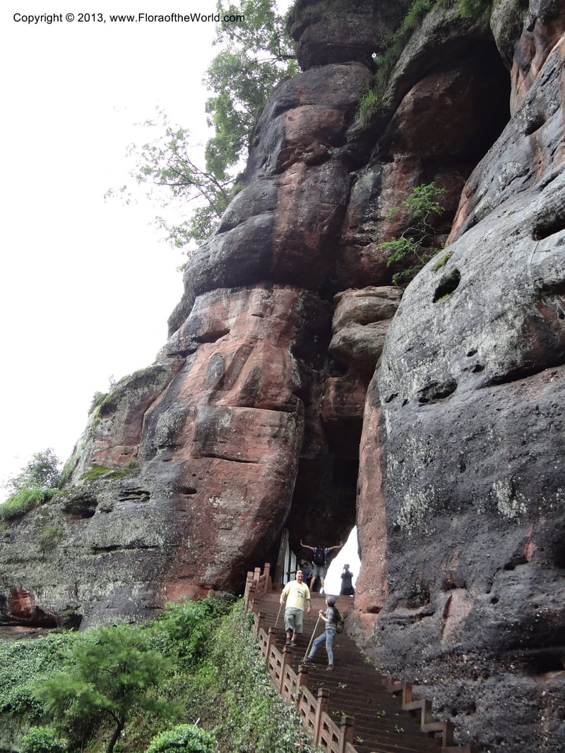 China. Anhui Prov. Qiyun Shan. 7 Jun 2012. DSC01929 (99).JPG