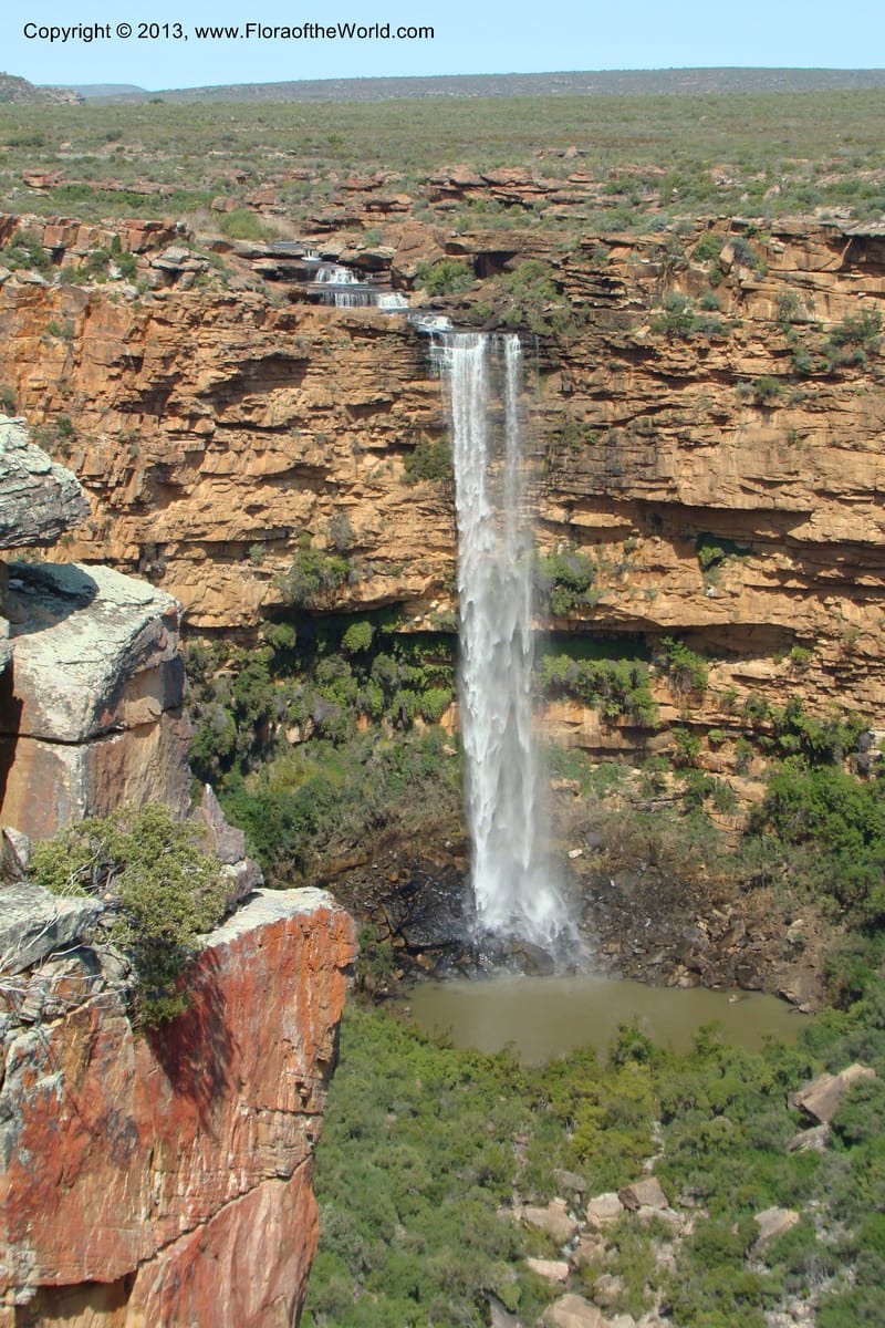 South Africa. Northern Cape. Papkuilsfontein. 25 Aug 09. 422.jpg
