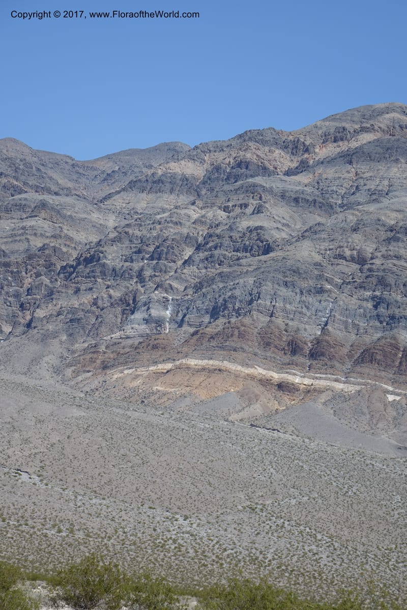 California. Inyo Co. Last Chance Mts. 16 Apr 2016.  (2).JPG