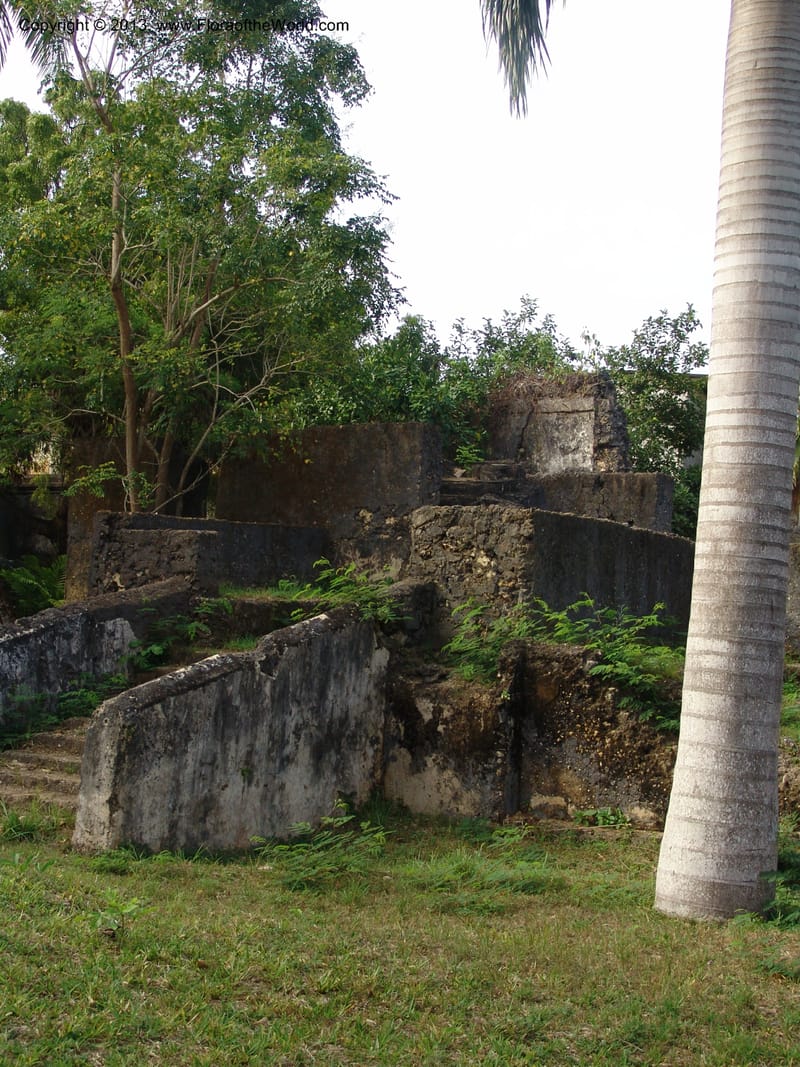 Tanzania. Zanzibar. Protea Hotel+Mbweni Ruins. 17 Jul 04. 027.jpg