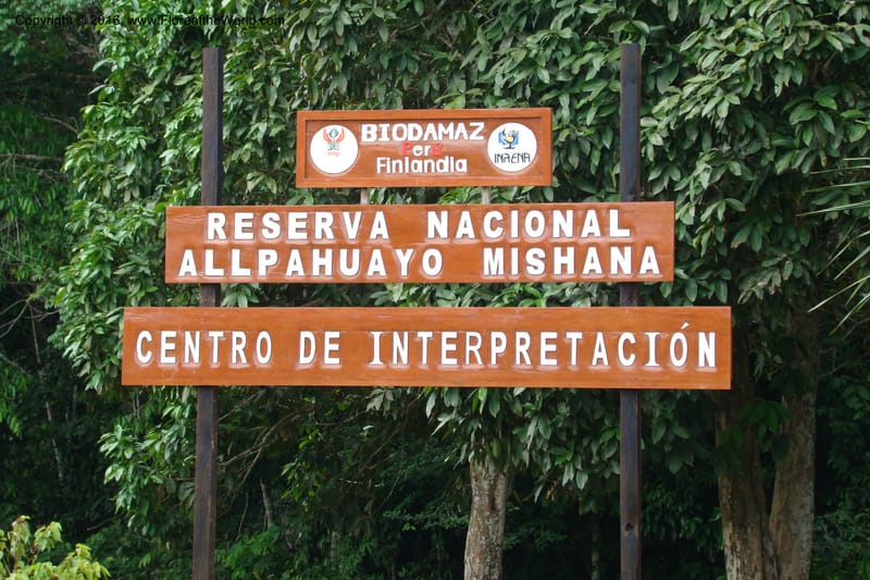 Peru. Loreto. Dto. Iquitos. Res. Allpahuayo-Mishana. 19 Nov 08. 003.jpg
