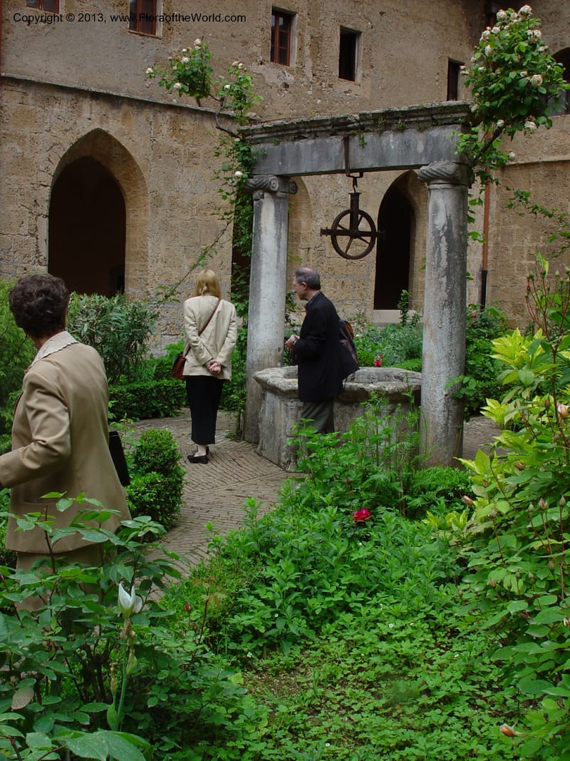 Courtyard garden, the lower monastery, Subiaco--Italy. Abruz.jpg