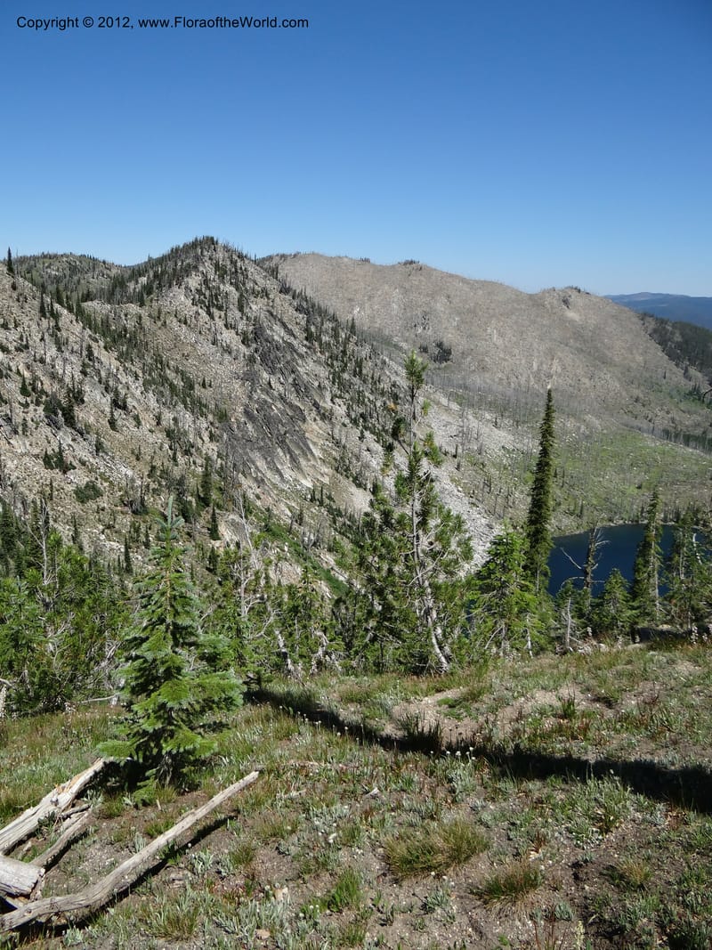 ID. Idaho Co. Josephine Lake. 1 Aug 2012. DSC03965 (54).JPG