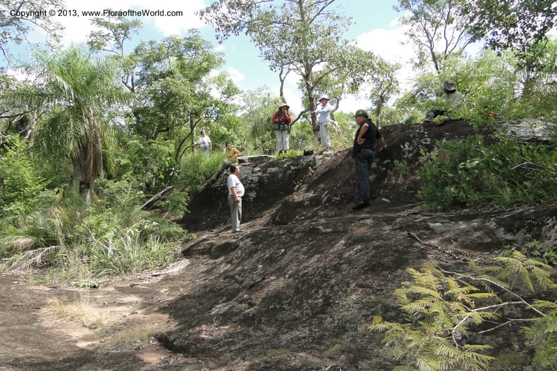 Paraguay. Edo. Concepcion. Garay Cue. 19 Mar 2011. 542.jpg