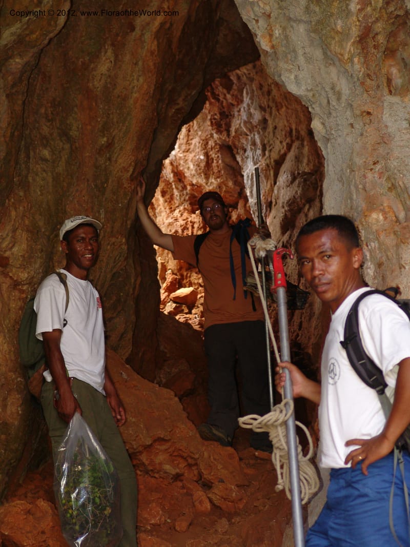 Madagascar. Prov. Antsiranana. Montagne de France. 6 Nov 06. 209.jpg