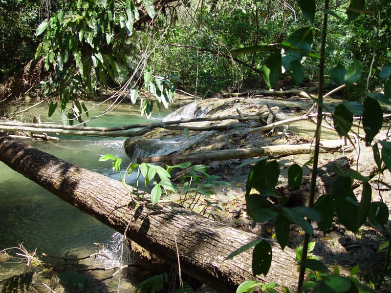 MX. Chiapas. Mpo. Ocozocoautla. 16 Mch 03. 033.jpg
