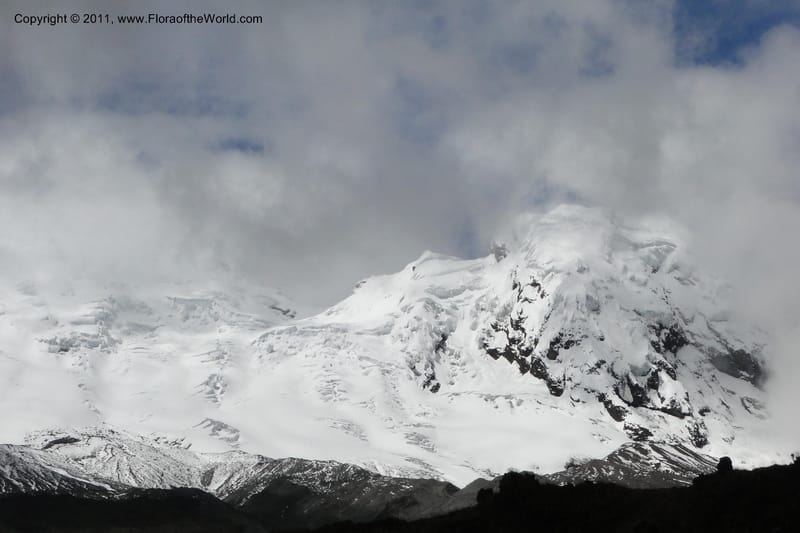 Ecuador. Napo. Volcan Antisana. 2 Jun 2011. 306 (27).jpg