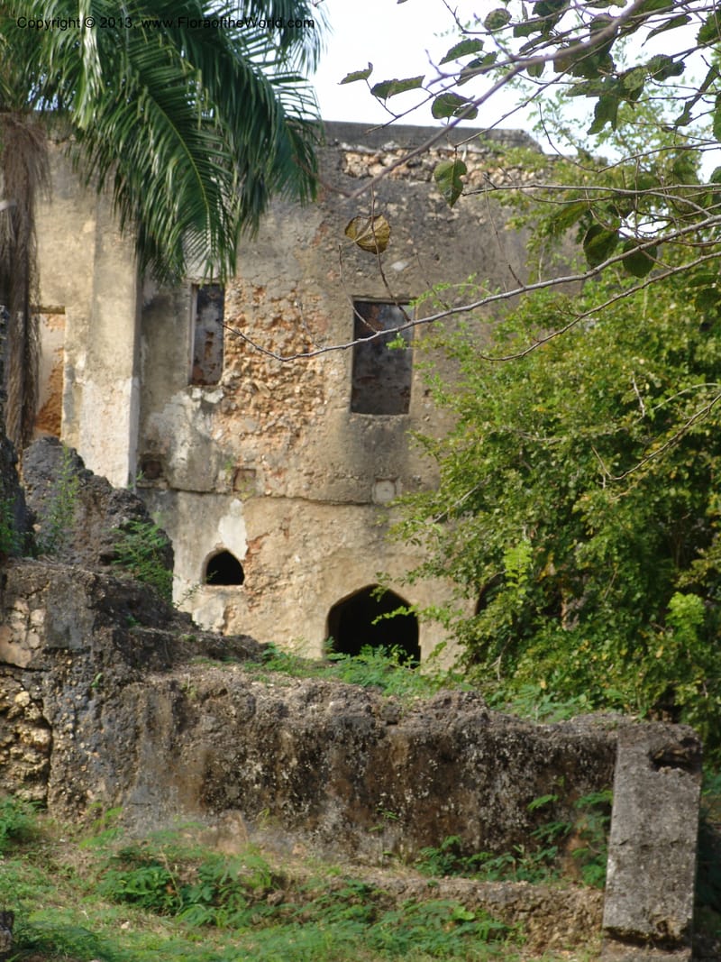 Tanzania. Zanzibar. Protea Hotel+Mbweni Ruins. 17 Jul 04. 26.jpg