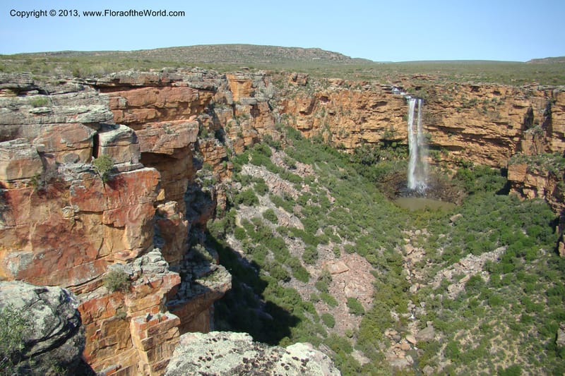 South Africa. Northern Cape. Papkuilsfontein. 25 Aug 09. 440.jpg