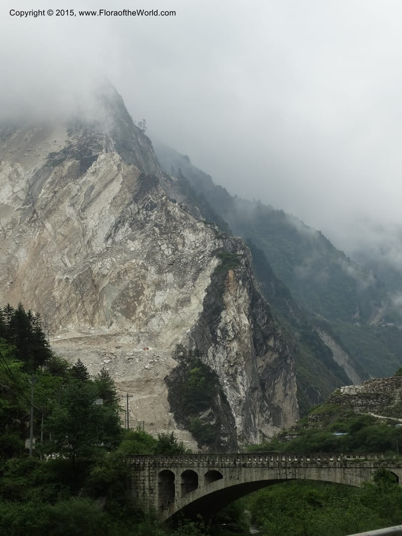 China. Sichuan. GuoBaiAn to YangLiuPing. 14 May 2014. DSC06781 (151).JPG