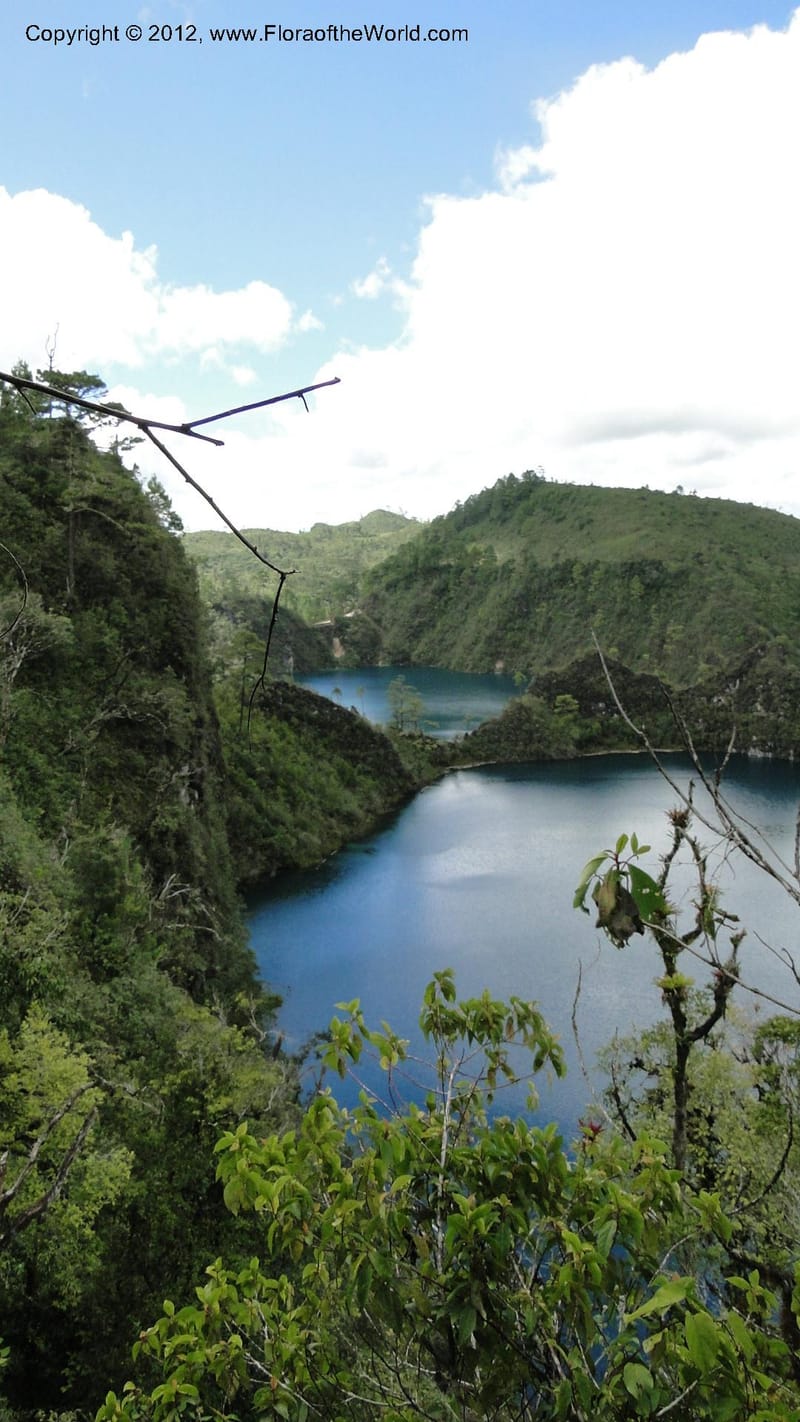 MX. Chiapas. Lagos Montebello. Lago Pojoj. 21 Sept 2010. 331 (107).jpg