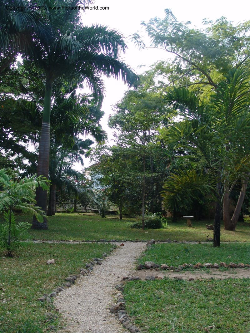 Tanzania. Zanzibar. Protea Hotel+Mbweni Ruins. 17 Jul 04. 023.jpg