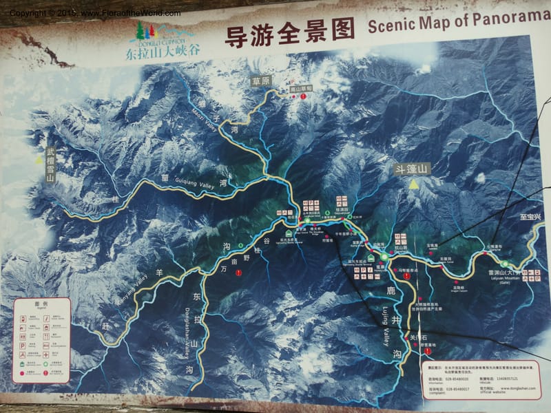 China. Sichuan. Leiyuan Shan. DongLa. Park gate. 13 May 2014. DSC06125 (10).JPG