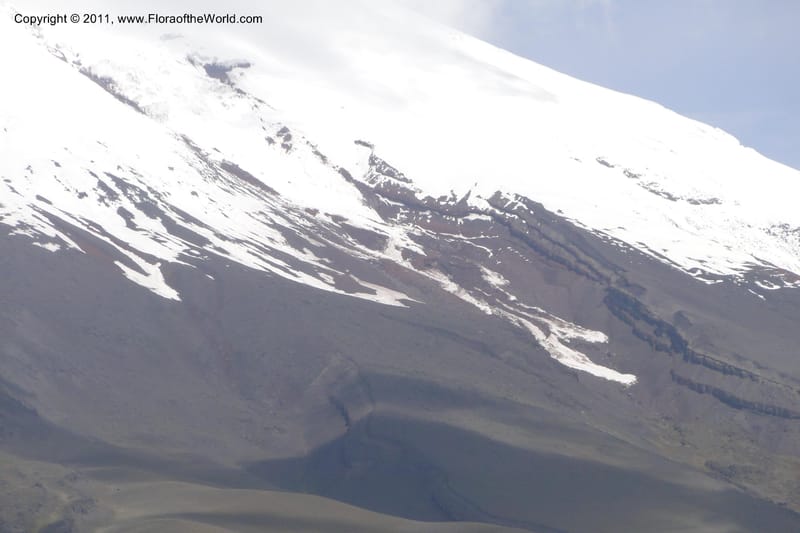 Ecuador. P. N. Cotopaxi. 3 Jun 2011. 208.jpg
