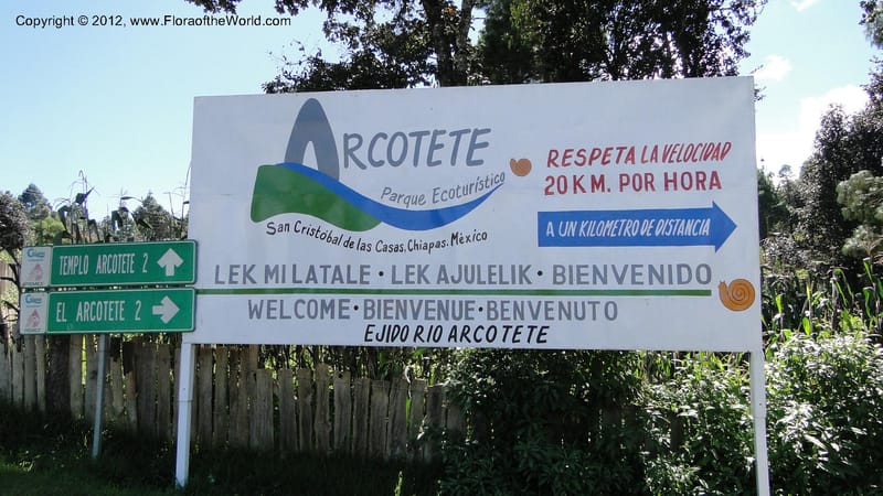 MX. Chiapas. Parque Ecot. Arcotete. 20 Sept 2010. 118 (30).jpg