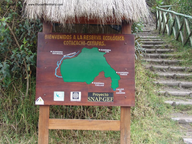 Ecuador. Prov. Imbabura.Laguna Cuicocha. 13 Sep 07. 001.jpg