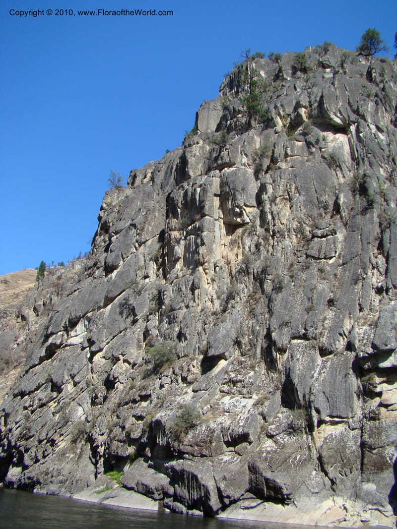 ID. Idaho Co. Main Salmon River. 26 Aug 08. 047.jpg